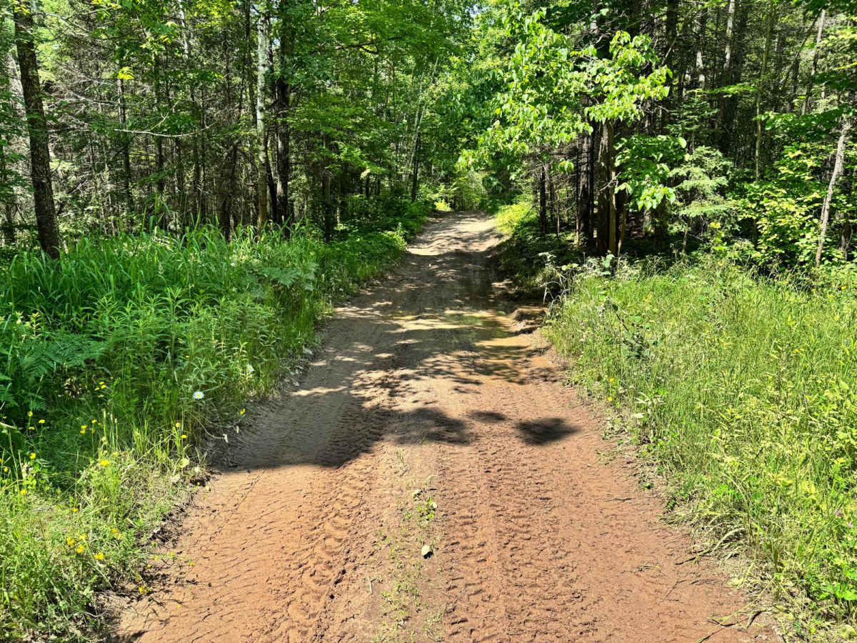 Eager Beaver Loop photo 4
