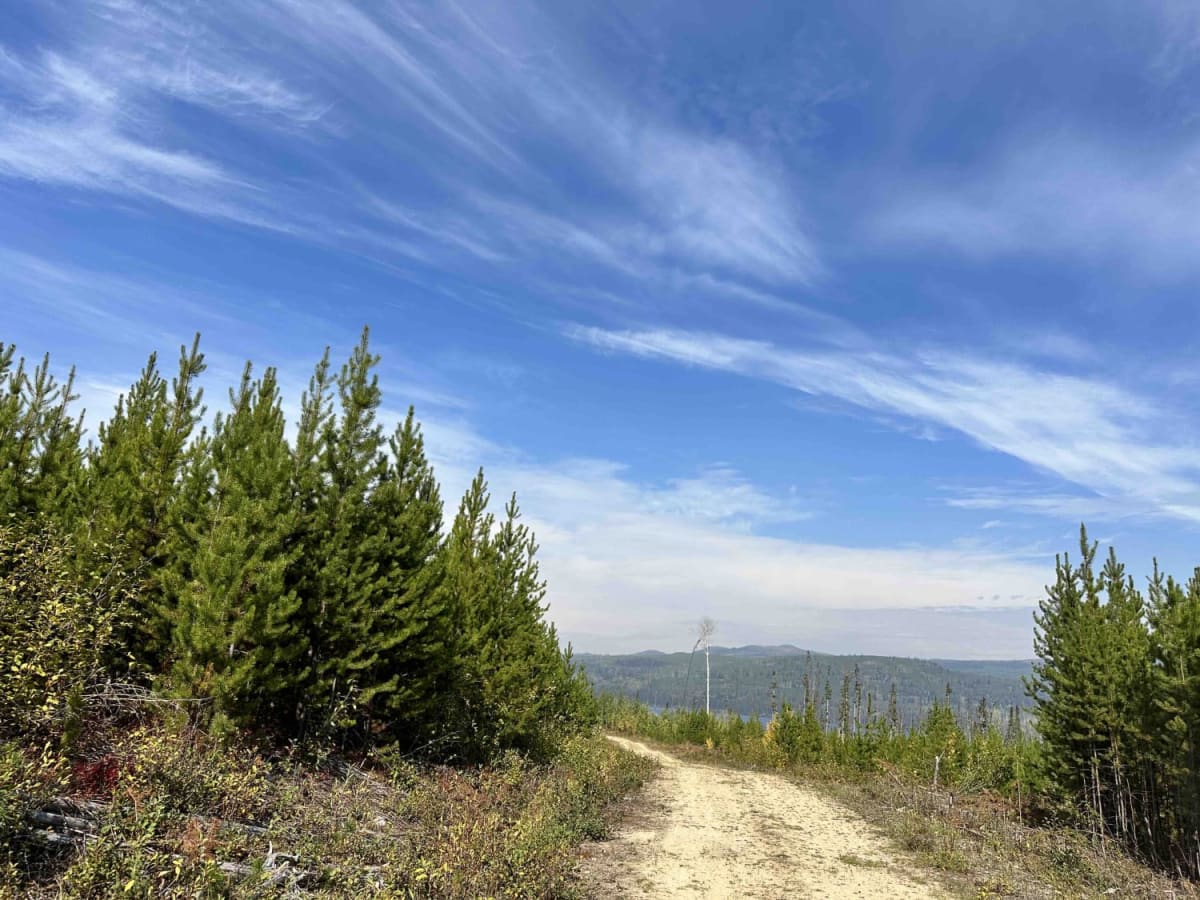 Sterling Forest Service Road photo 4