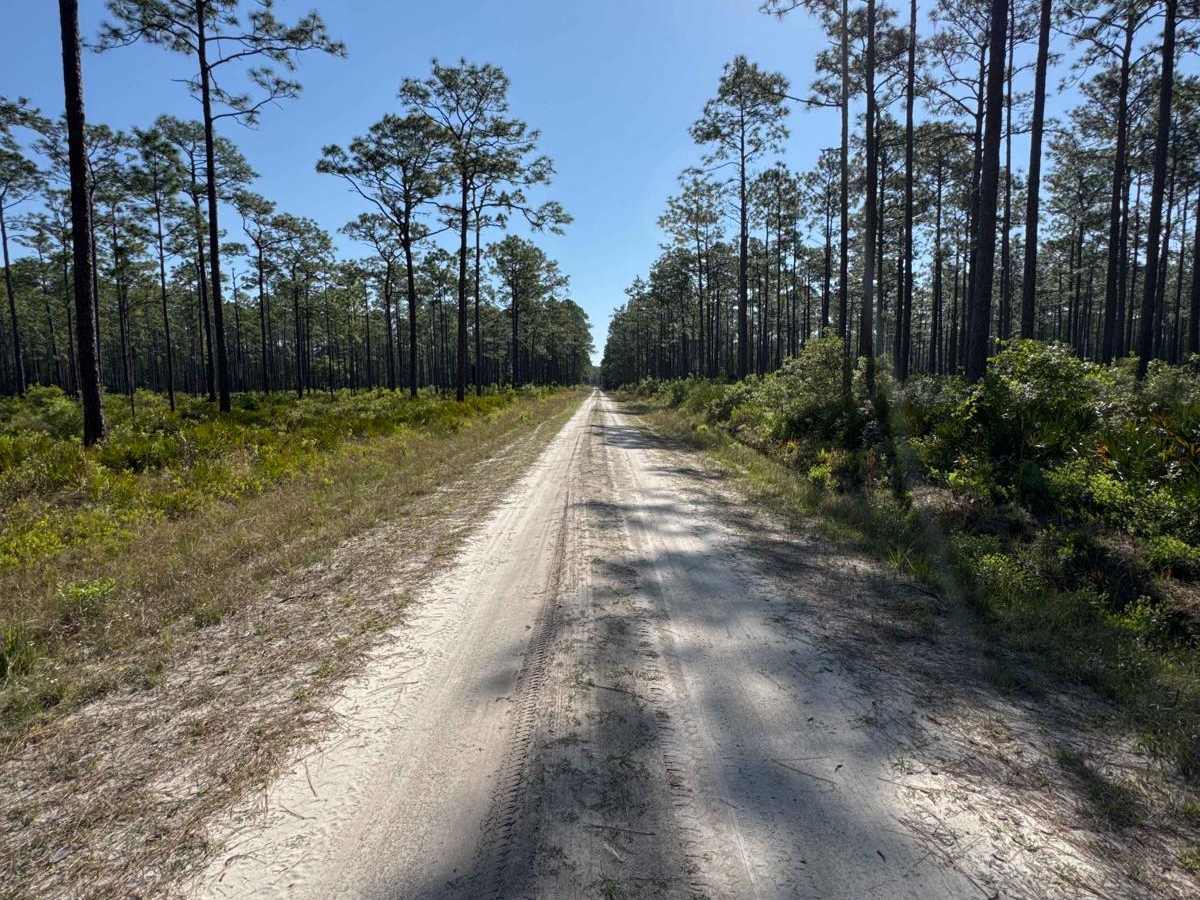 Water Town - Osceola NF 278 photo 6