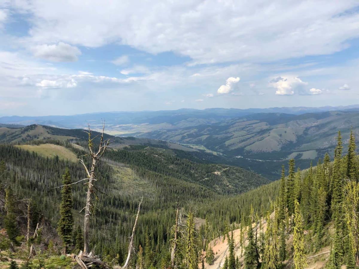 Saddle Mountain Trail photo 5