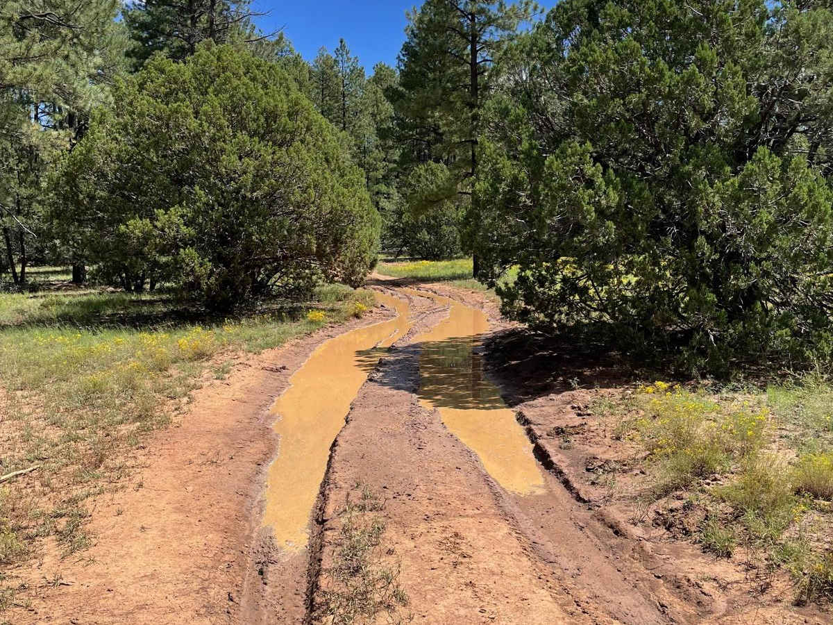 Schnebly Terraces Trail photo 4