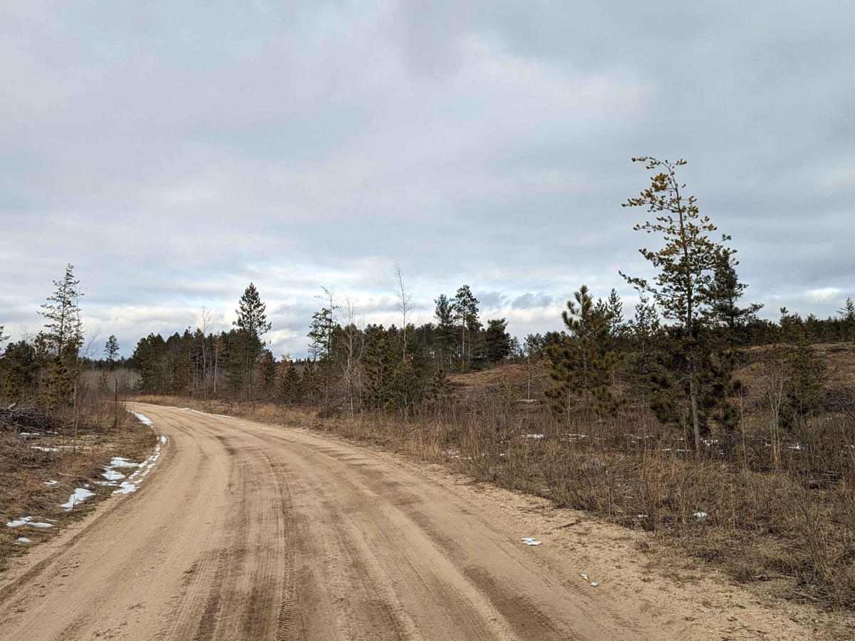 Blue Lake Road photo 4