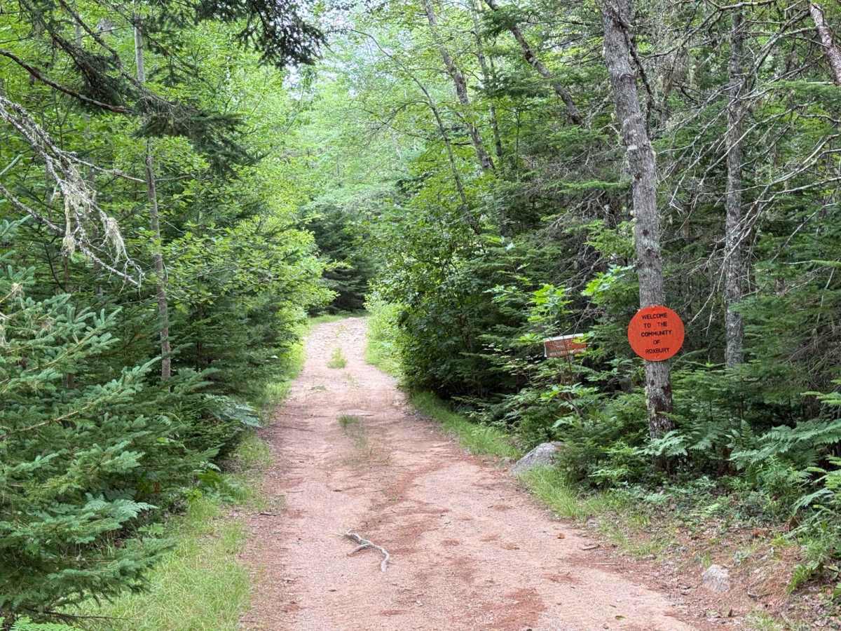 Roxbury Road trail photo