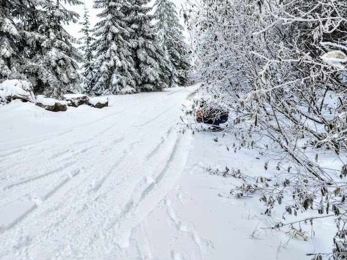 Lone Tree Mountain trail photo