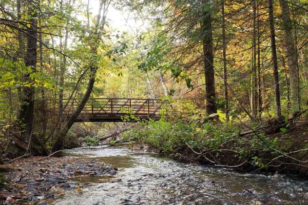 Trail 31 - Part 1
