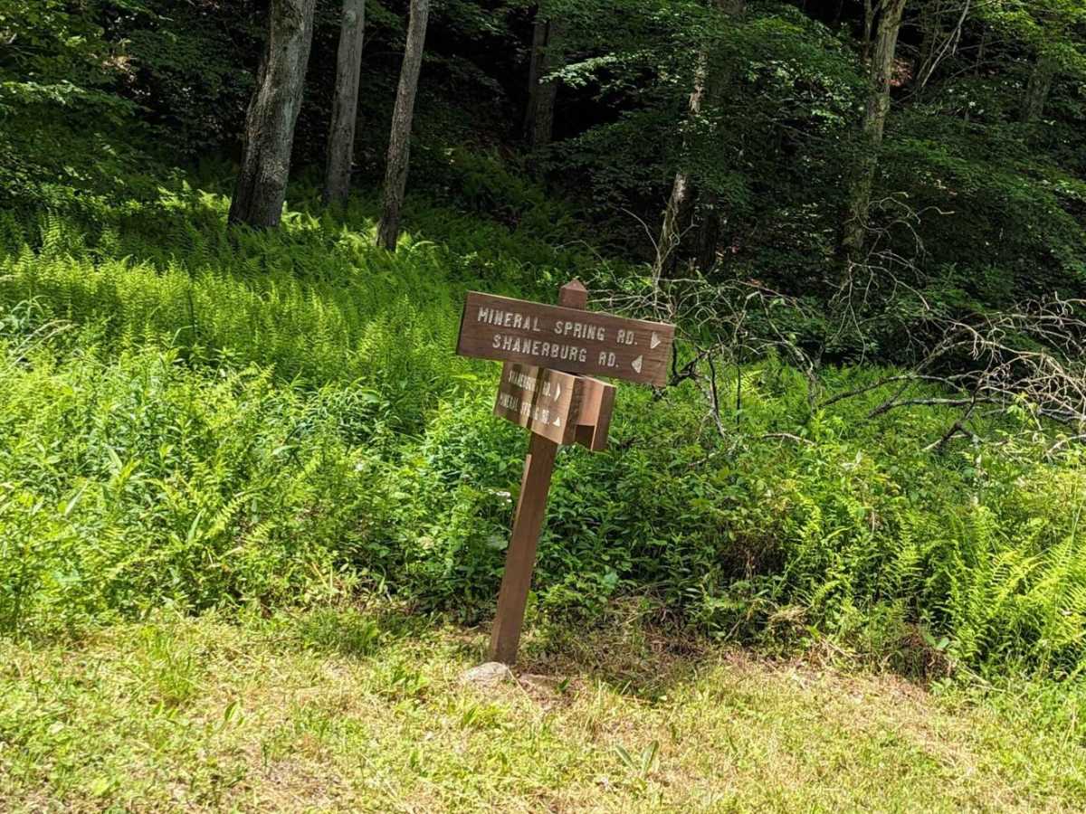 Mineral Spring Road trail photo