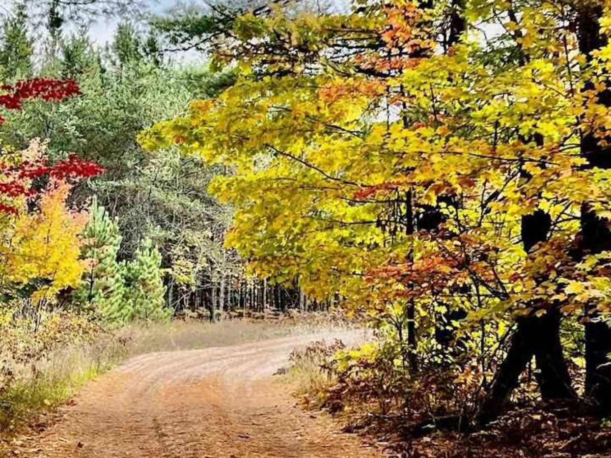 High Rollway Scenic Overlanding Trail 1 photo 2