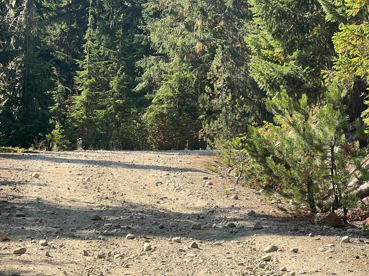 Labyrinth Mountain photo 4