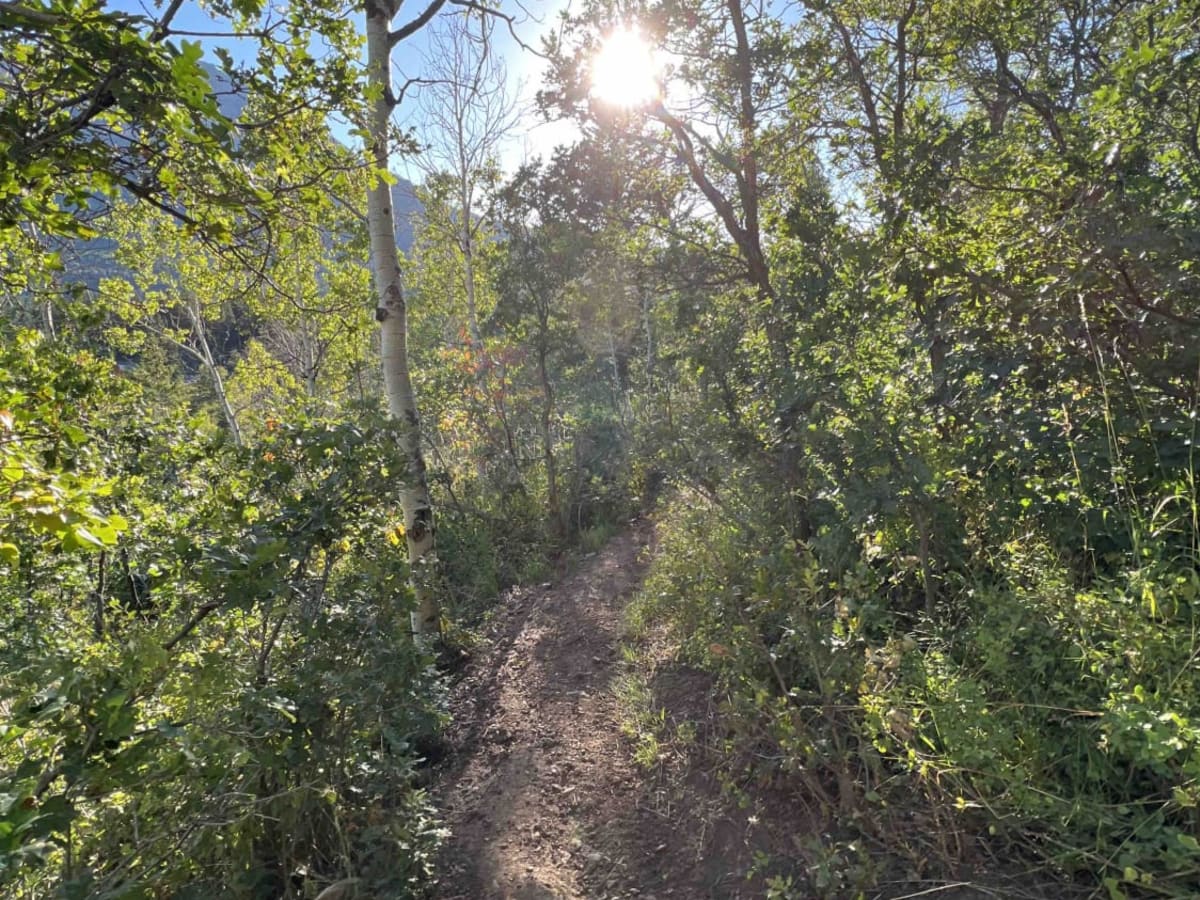 Ridge Connector (2216) photo 3