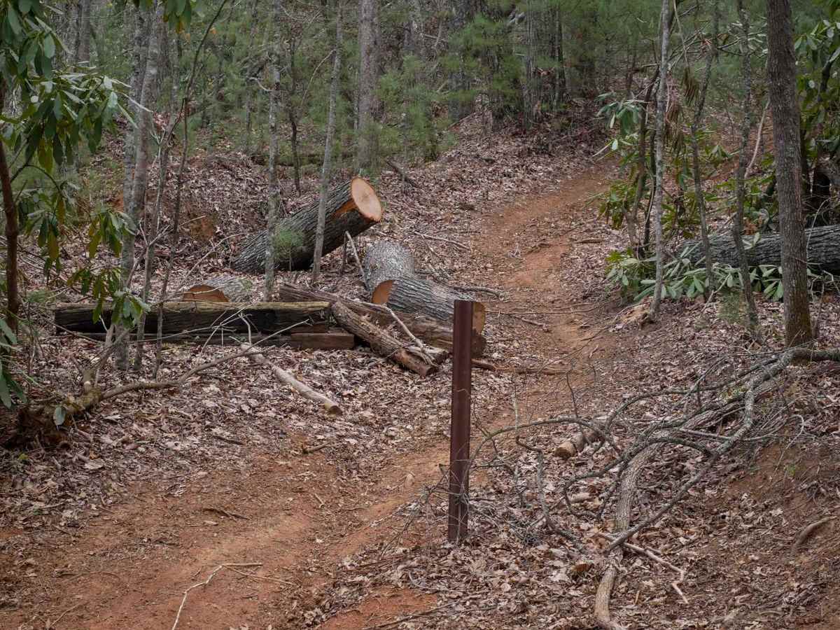 B5 trail photo