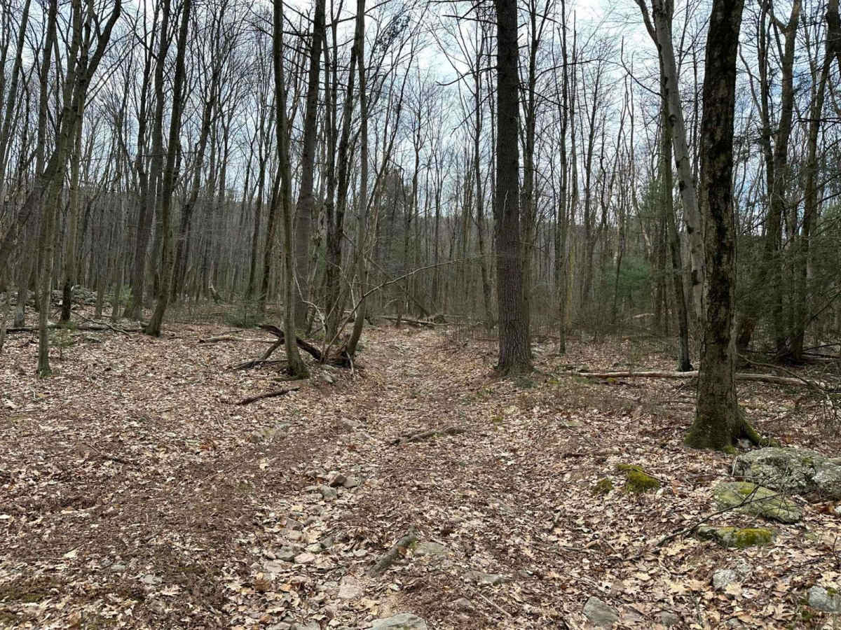 Tower City 9 trail photo