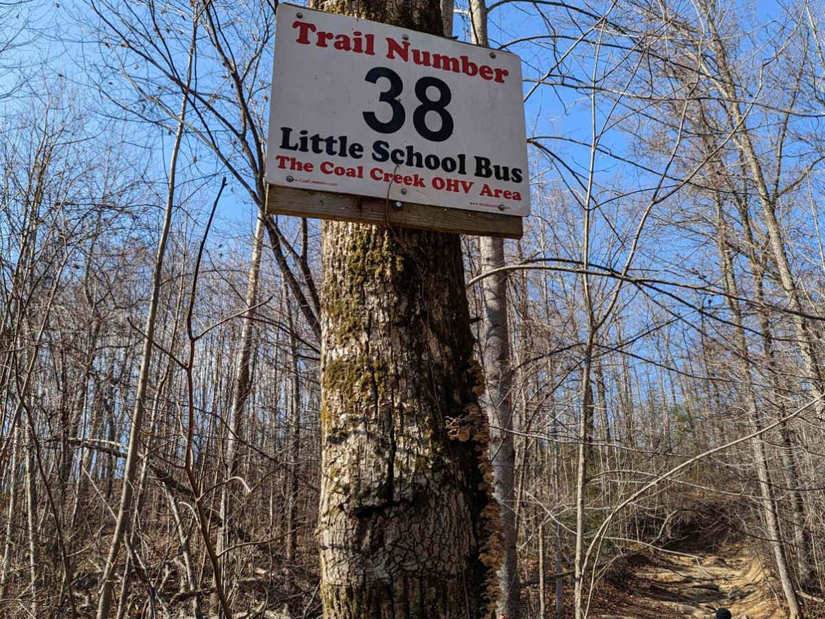 Trail 38 (Little School Bus) photo 6