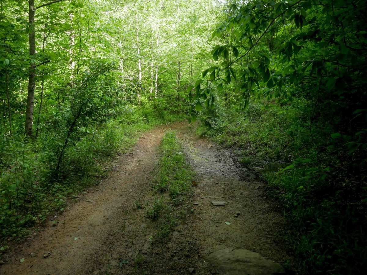 RV25 photo 5