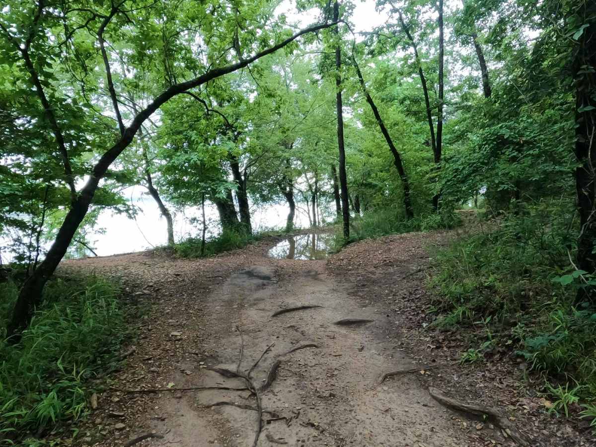 Bay Overlook Trail photo 4