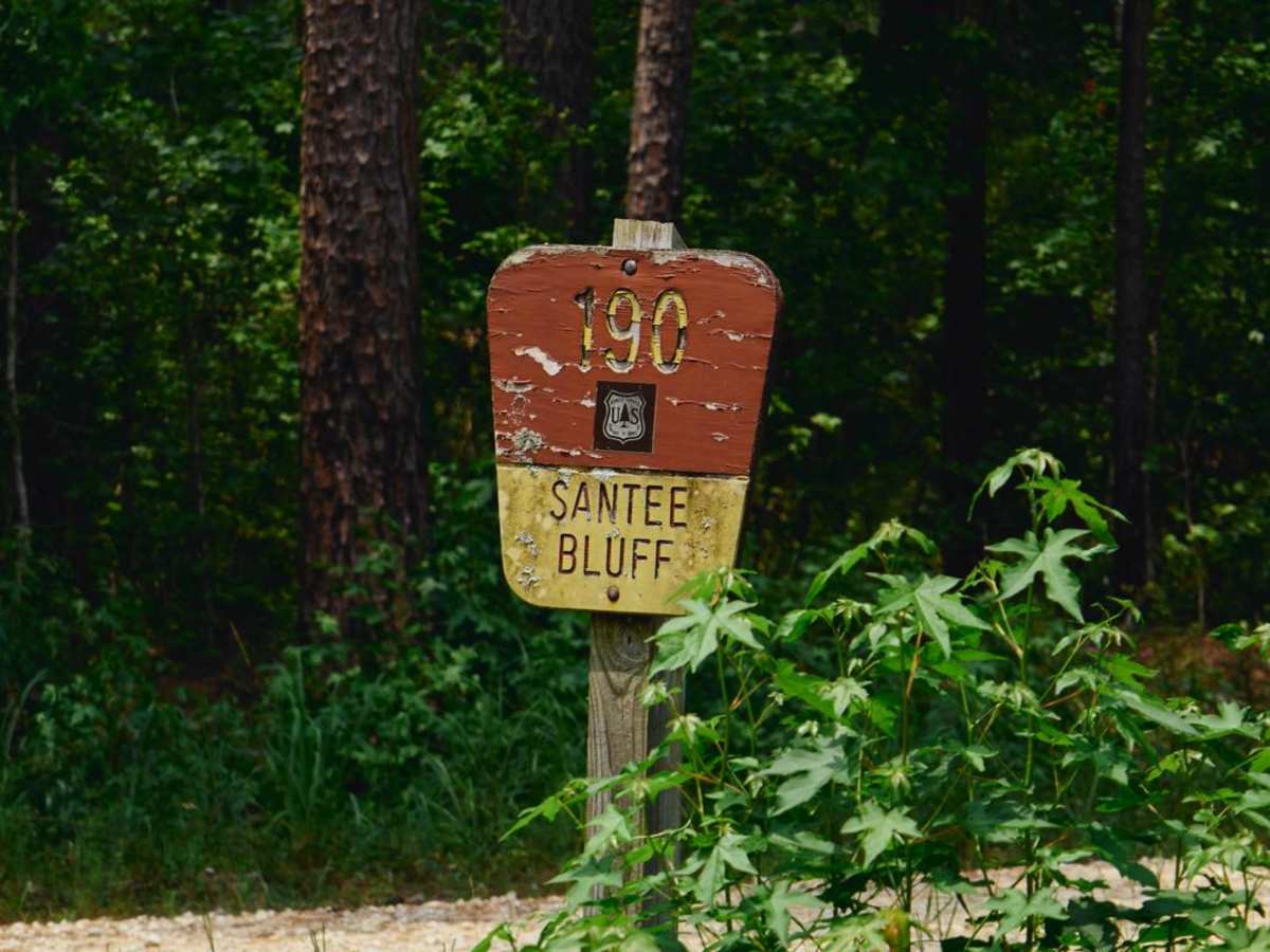 Santee Bluff - FSR 150 trail photo