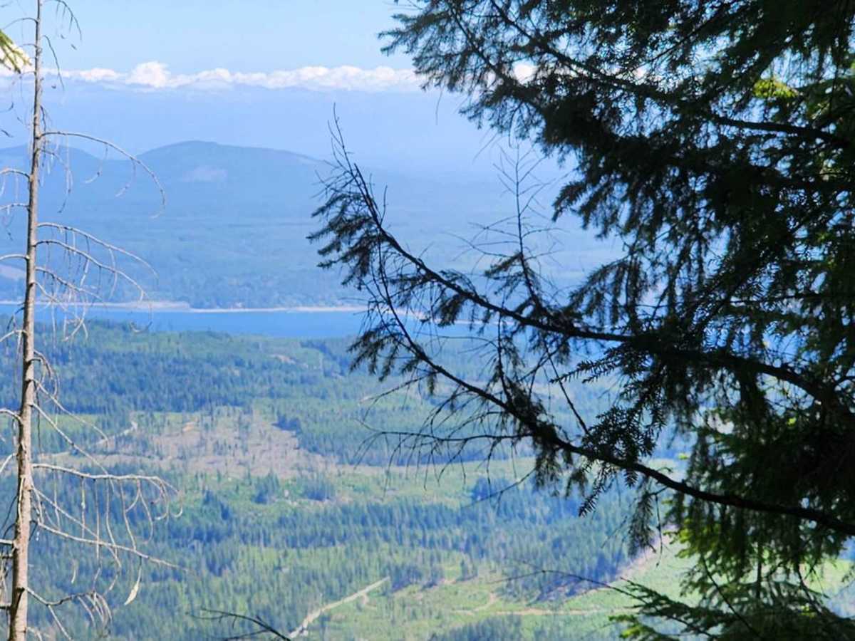 Jefferson Ridge Road trail photo