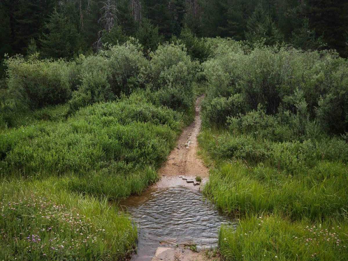 Radial Mountain Trail photo 6