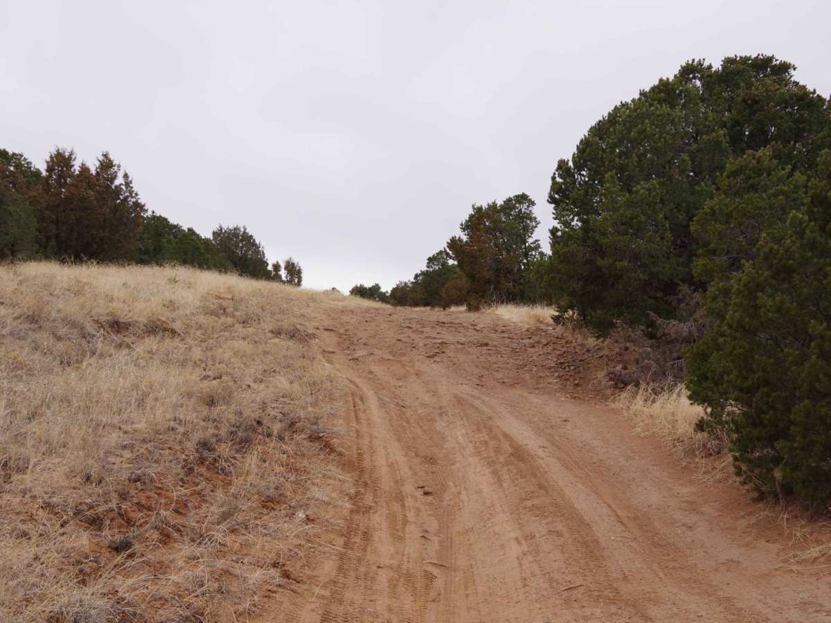 West Mesa Loop photo 5