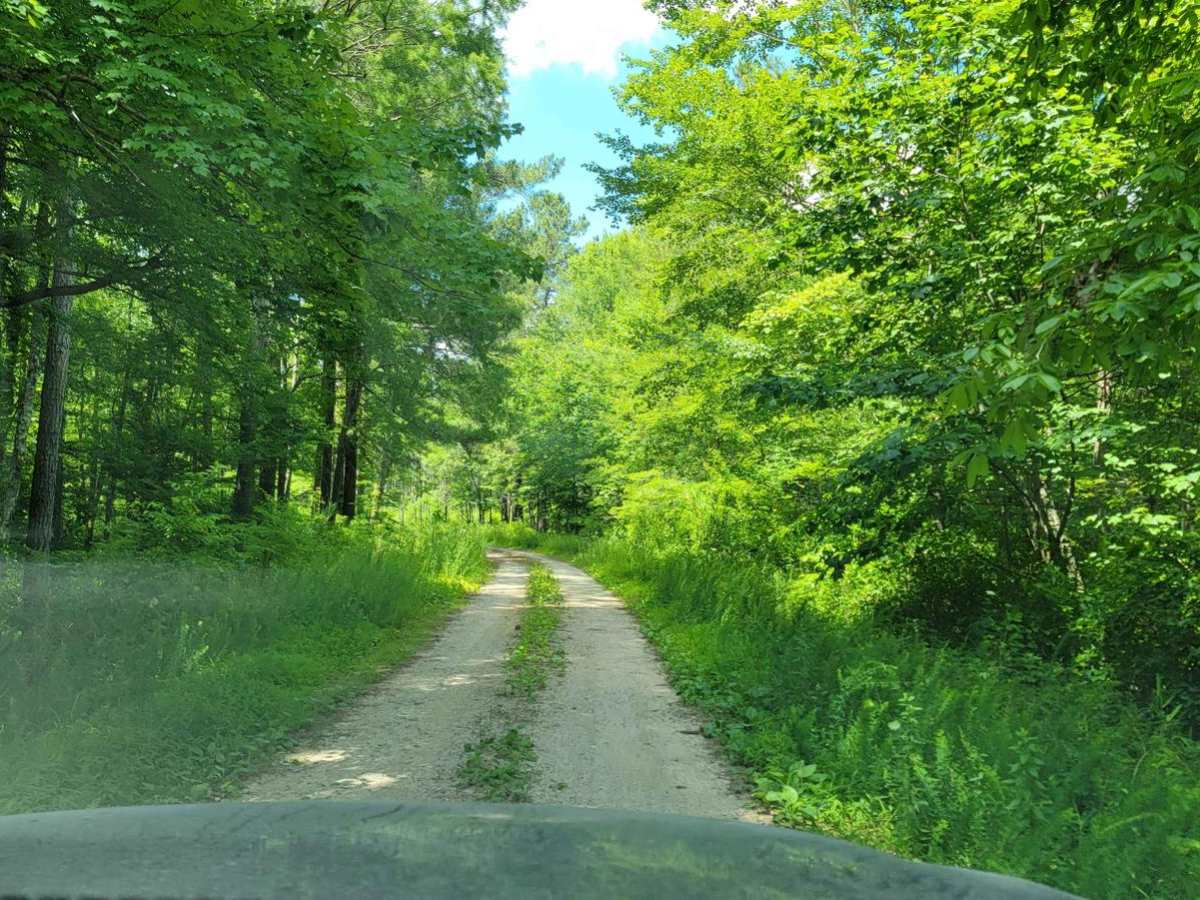 Big Woods Loop photo 3