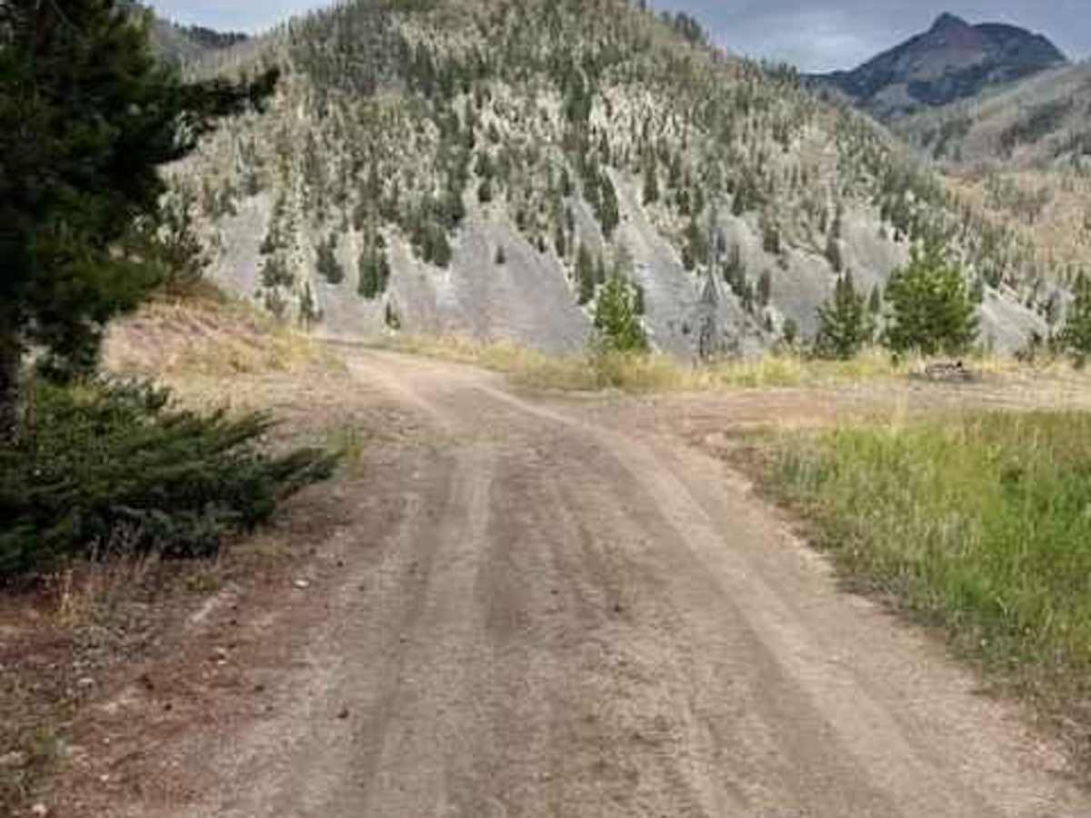 Mill Creek Road photo 5