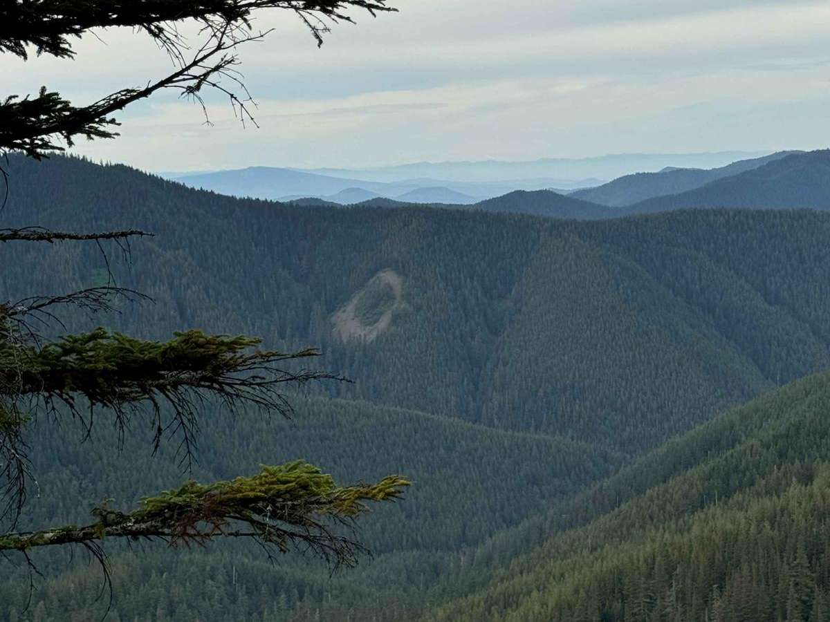 Zig Zag Lake trail photo