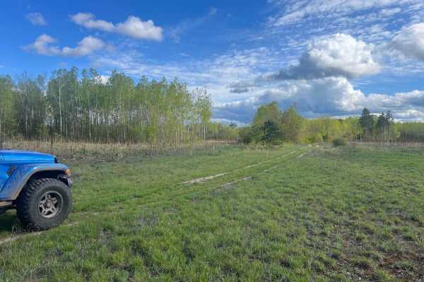Bewilder Trail