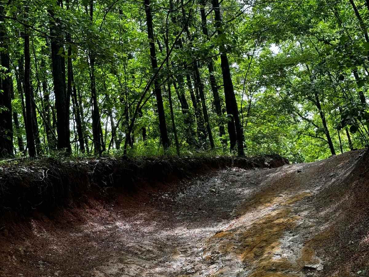 Sawmill Trail 93 photo 4