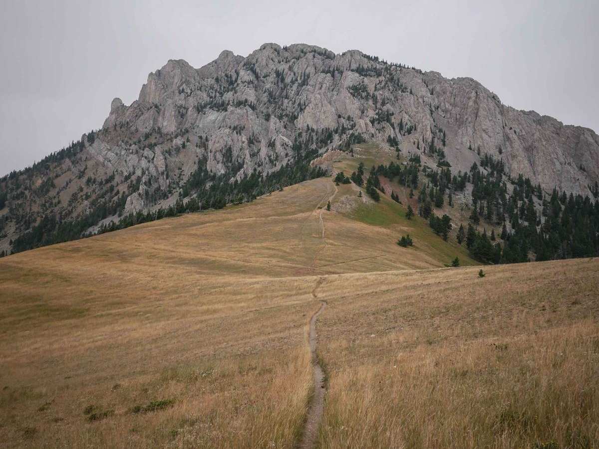 Bridger Foothills trail photo