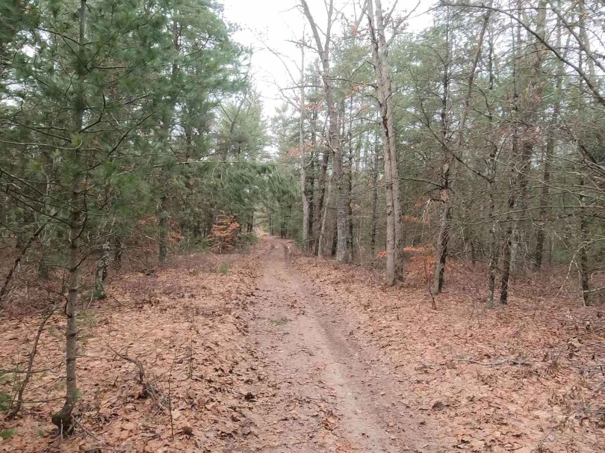 Dalson Road between Brunswick and Raymond Roads photo 3