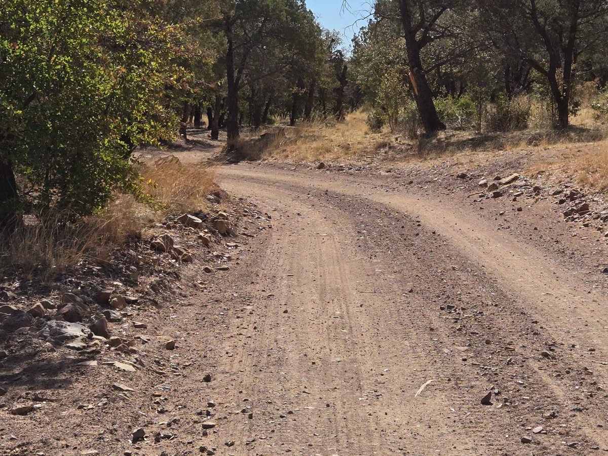Hog Canyon- BLM 4111 photo 3