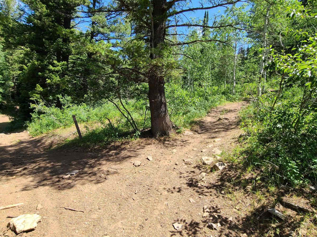 Sugar Creek photo 5