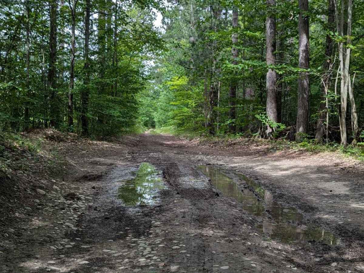Brown Trail trail photo