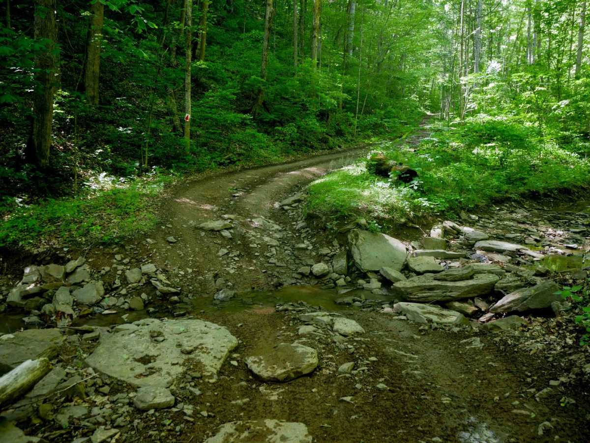 Trail 21 photo 2