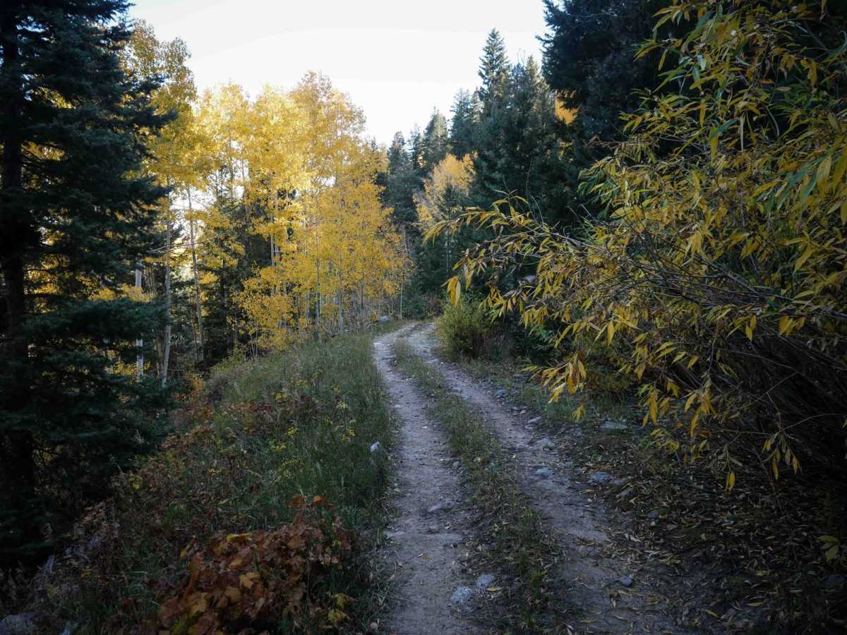 Horse Creek trail photo