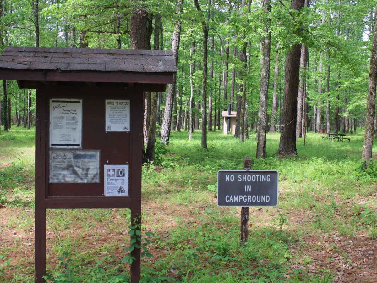 Turkey Trot in the Kisatchie photo 4