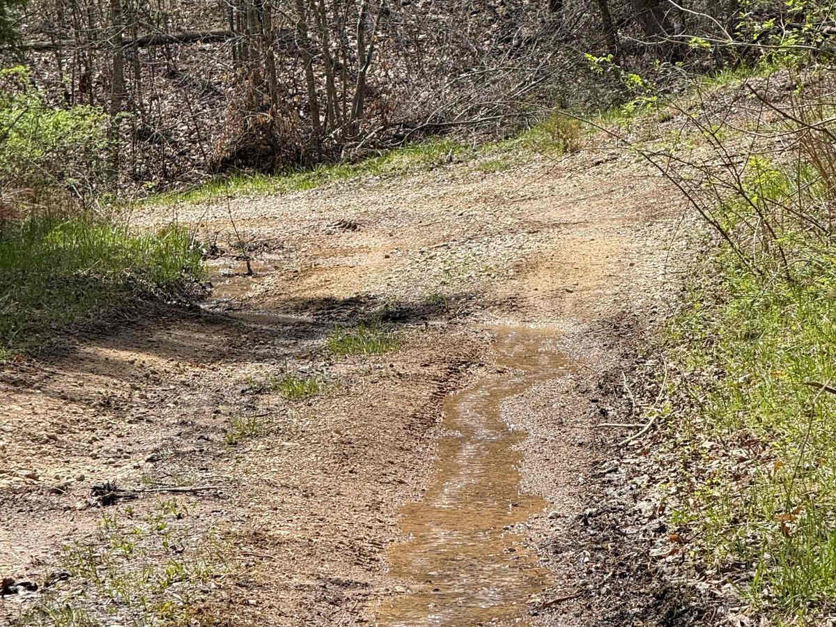 Trail 5 photo 2