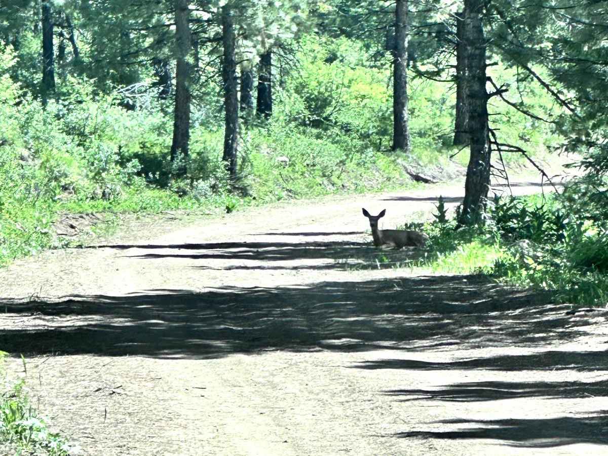 West Mountain photo 4