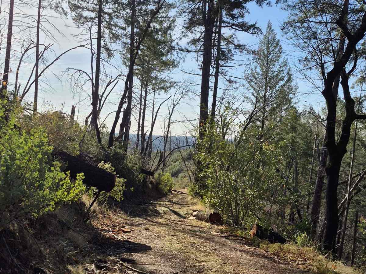 South Volcanoville (13N56) photo 4