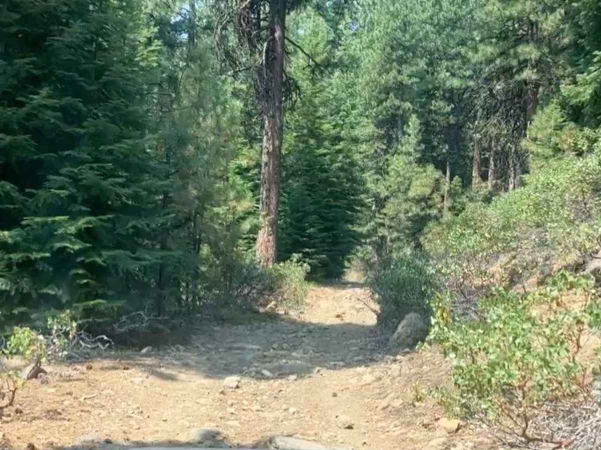 Cultus Mountain Trail photo 5