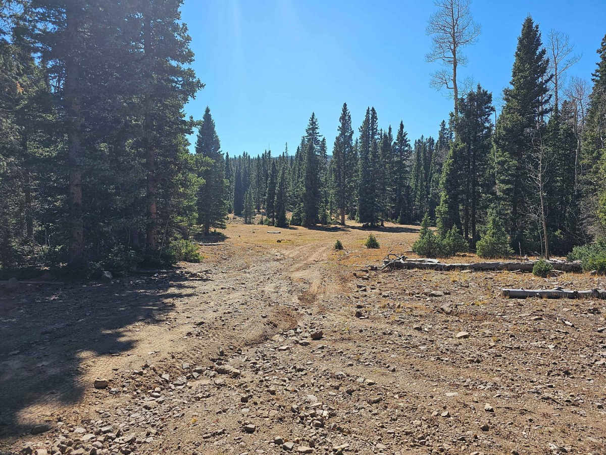 Velvet Lake Road photo 6