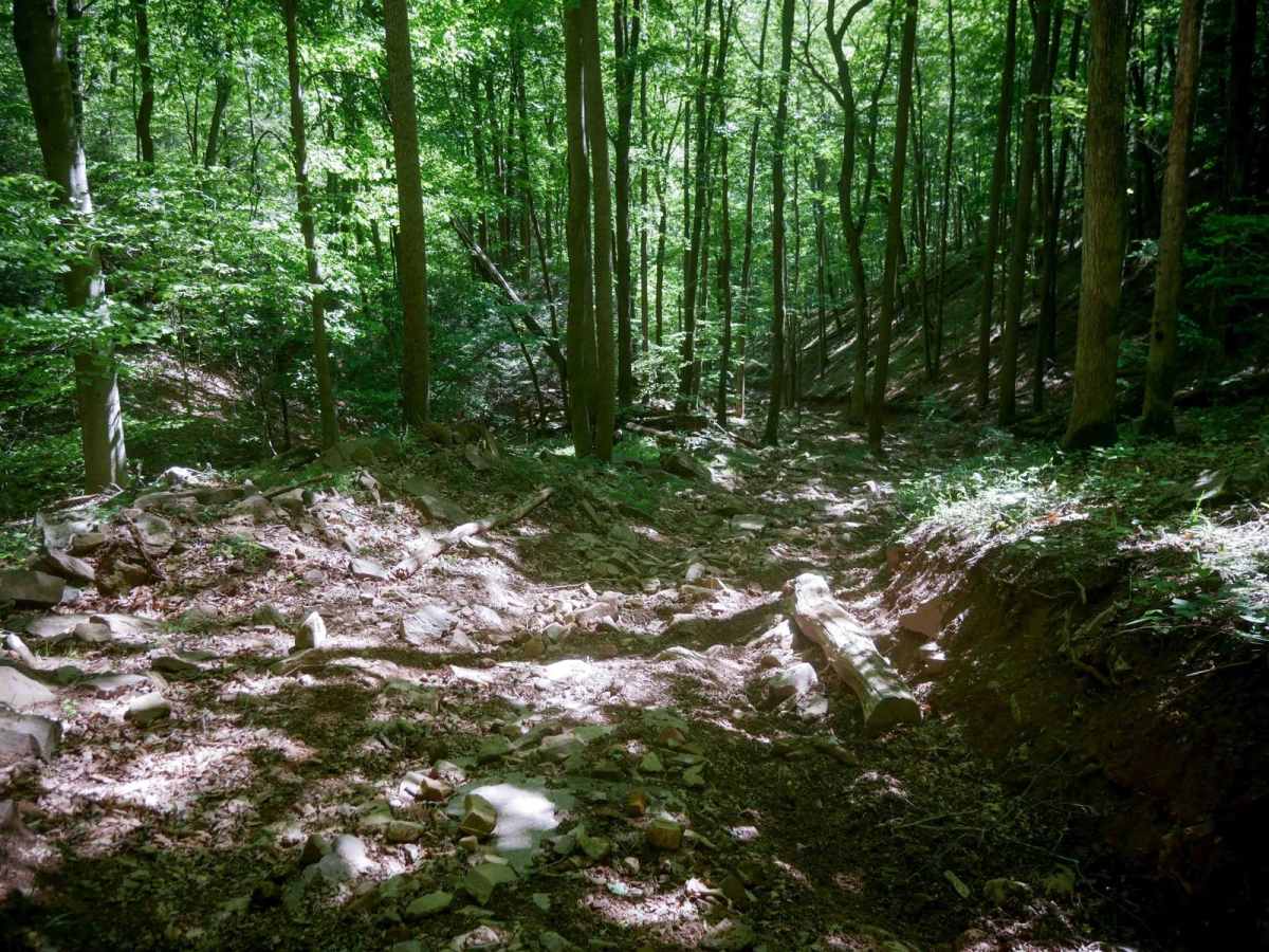 Trail 10 photo 6