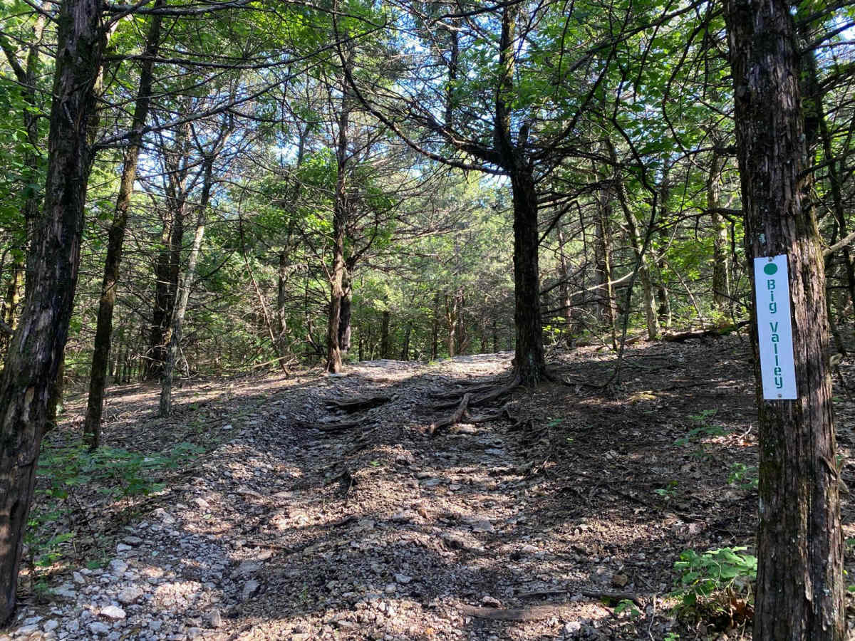 Big Valley trail photo