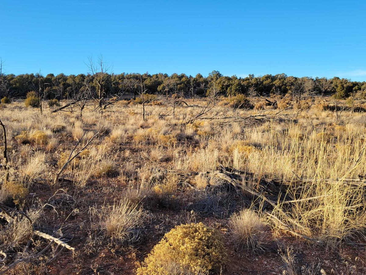 BLM 1059a photo 6