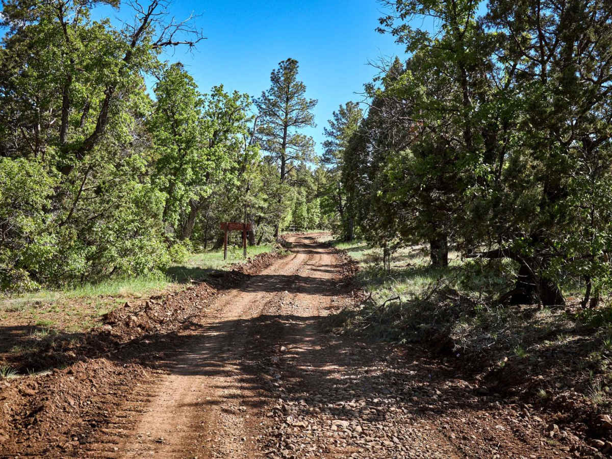 Sleeping Coyote Run trail photo