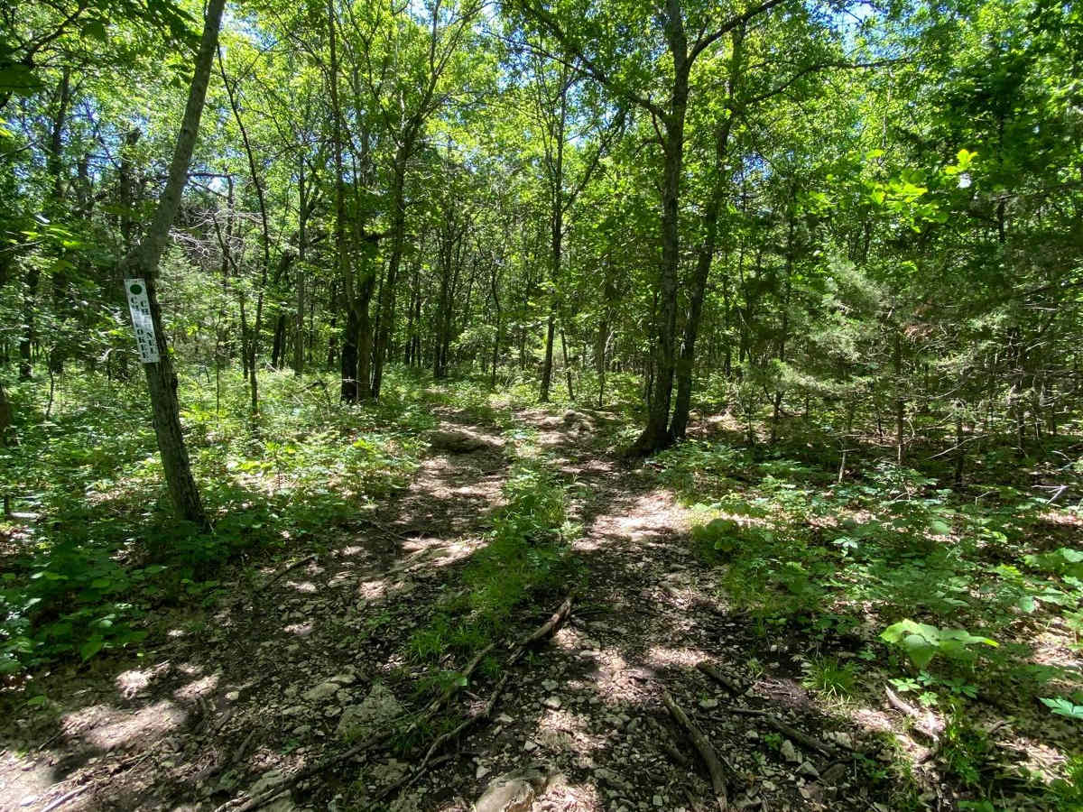 Cherokee Channel trail photo