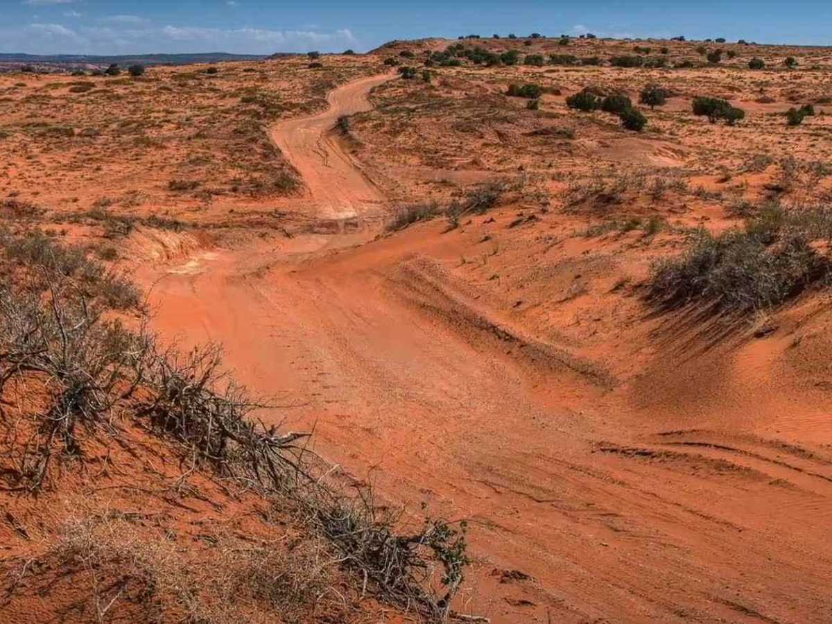 Roost Road - BLM0123 photo 4