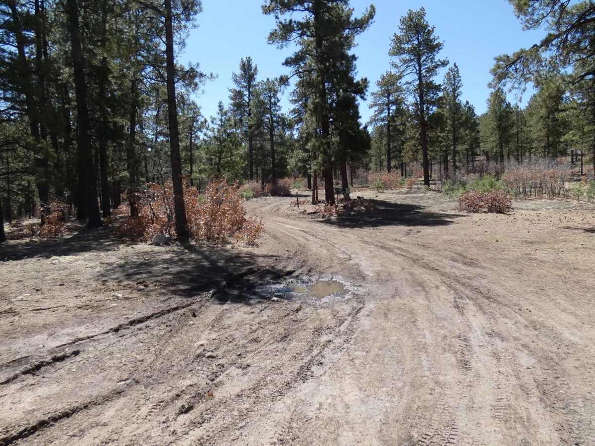 Red Mesa FSR-578 photo 2