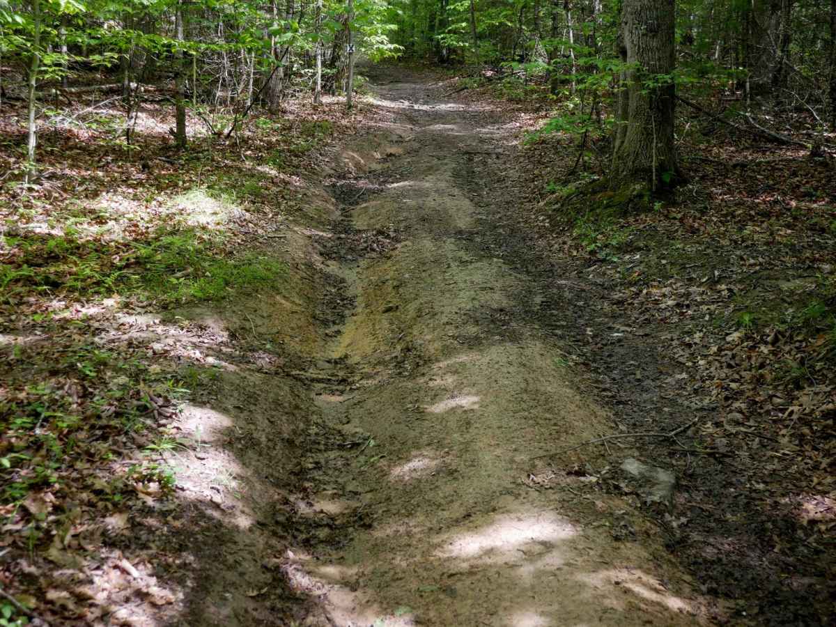 Trail 6 photo 4