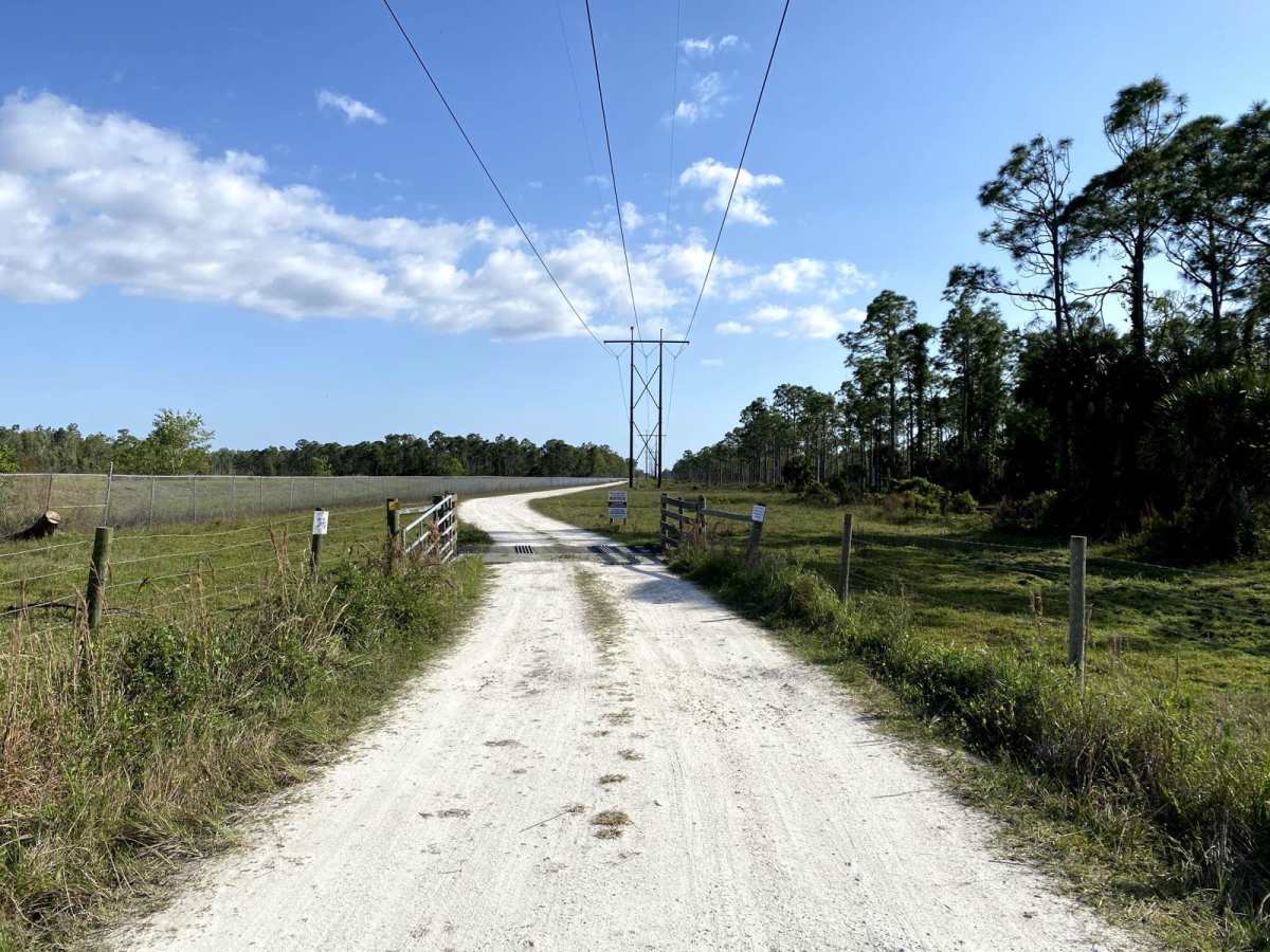 Seminole Grade trail photo