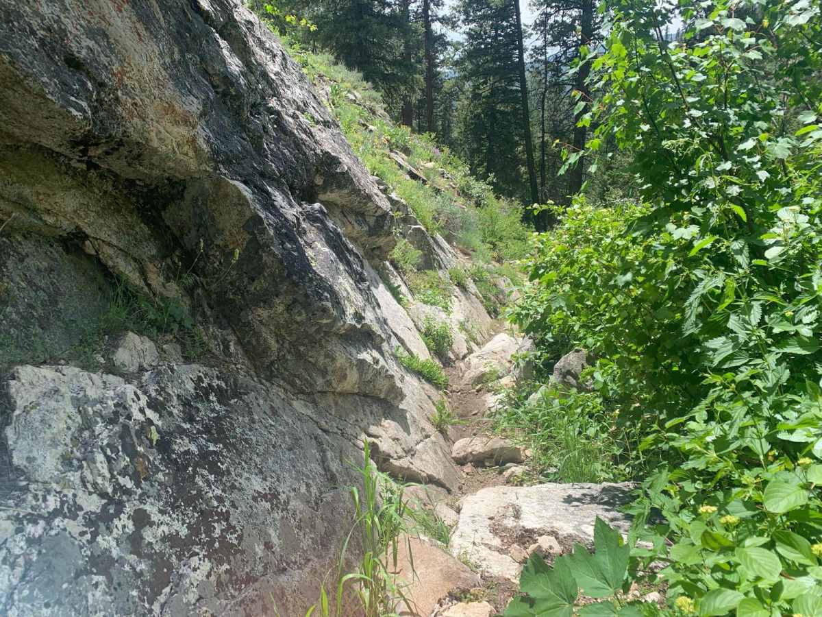 Crosscut South photo 6